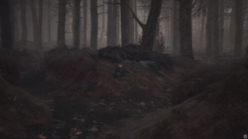 188314750.jpg