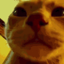 1c85437e3c9826216e640f839ab388f7e9127815.gif