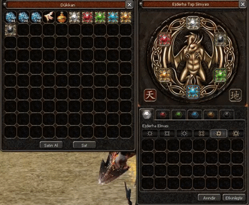 setbonus.gif