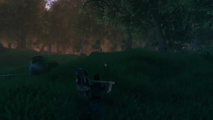 Bu biyomda ayrıca taşlar, çakmaklar, mantarlar, ahududular ve karahindibalar vardır - Valheim: Meadows - kaynaklar, rakipler - Biomy - Valheim Rehberi