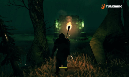 tr2900x506.png