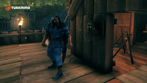 tr36.png