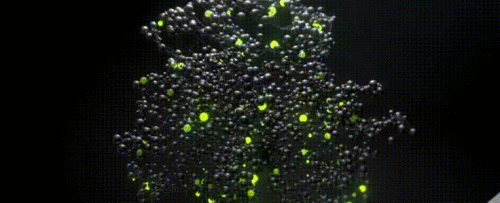 59b0f9afb59d0e1ce4758d69ffbe8744.gif