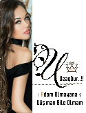 29812ec6-44991.gif