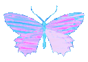 779055687283769354.gif