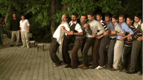 halay.gif