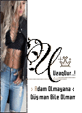 555.gif