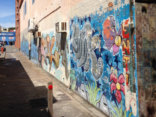 Dolphin-Group-Graffiti-Removal-Newcastle-West-copy.png