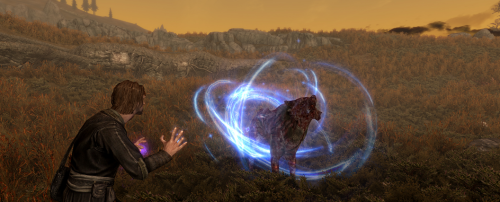 image4762ac86140b9f3d.png