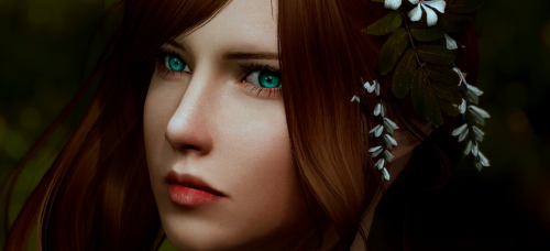 imageefd48bb2d75041a1.png