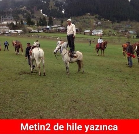 Metin21.jpg