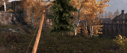image49bf8c610e2470fe.png