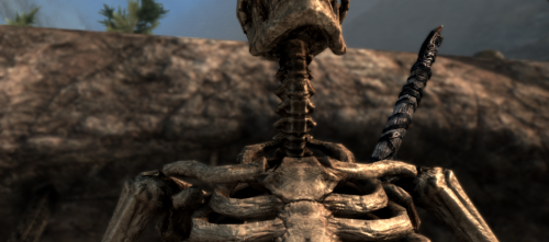 imagedcad79a05545e690.png
