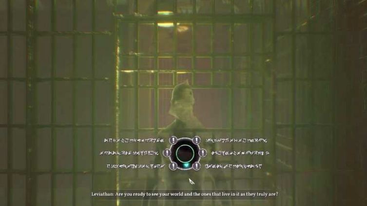 d2.jpg