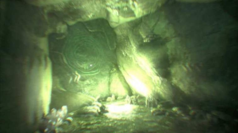 n2.jpg
