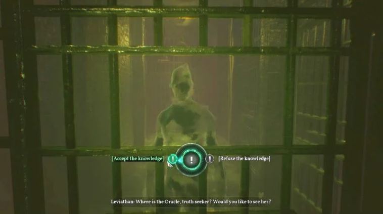 y3.jpg