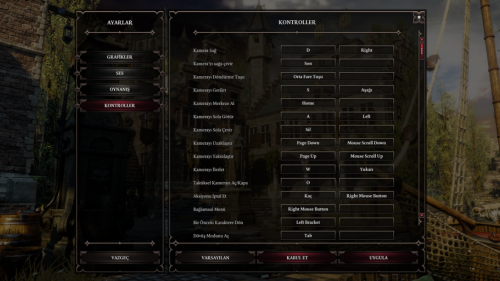divinity-orjinal-sin-2-turkce-yama-indir-2.png