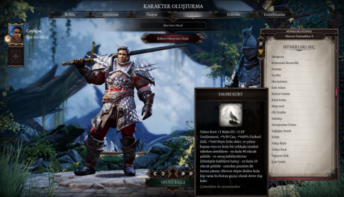 divinity-orjinal-sin-2-turkce-yama-indir-5.png