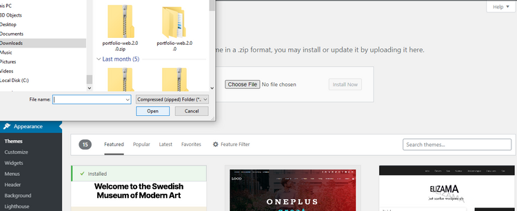 Install-theme-from-outside-WP.pngq50fitcropw750dpr1.png