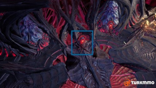 122744656.jpg