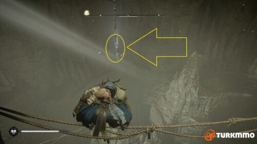 217639406.jpg