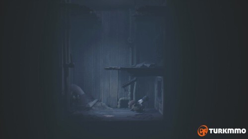 106338390.jpg