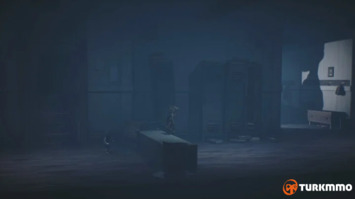 30790281.png