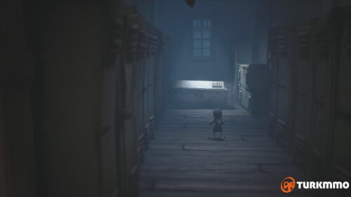 30790359.jpg