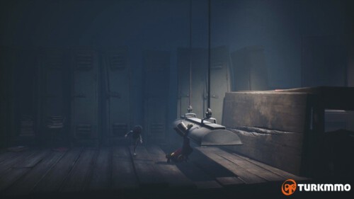 30790437.jpg