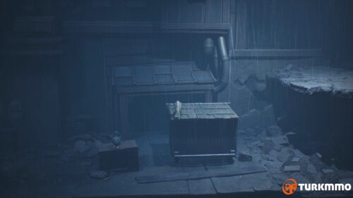 196122765.jpg