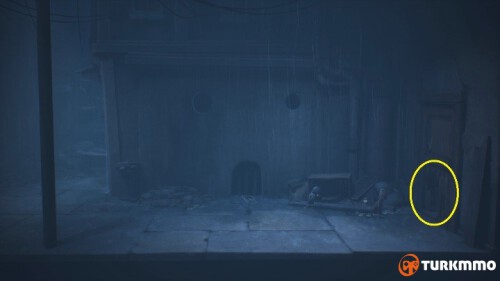 196122781.jpg