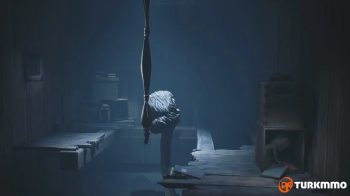 30790921.png