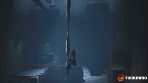 30790937.jpg