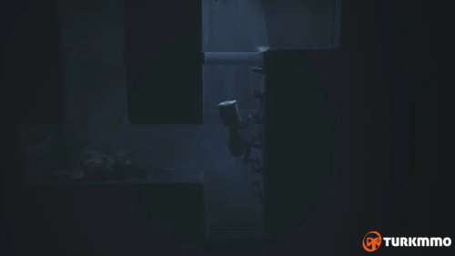 30791031.png