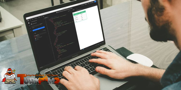 vuejs-overview.png