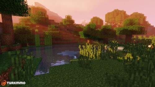 minecraft-best-shaders-900x506.jpg
