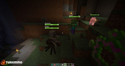 minecraft-neat-mod-816x432.jpg