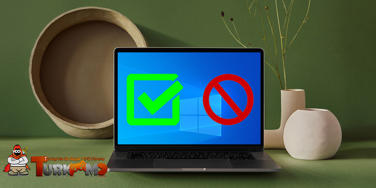 manage-app-permissions-win-10.png
