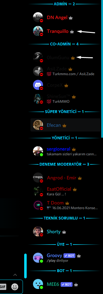 yetki.png