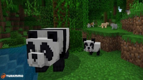 Featured How to Breed Pandas in Minecraft 900x506