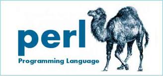 perl-backend-language.jpg