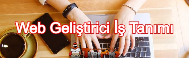 web-gelistirici-nedir-web-gelistirici-nasil-olunur-web-gelistirici-ne-is-yapar--1610699168.jpg