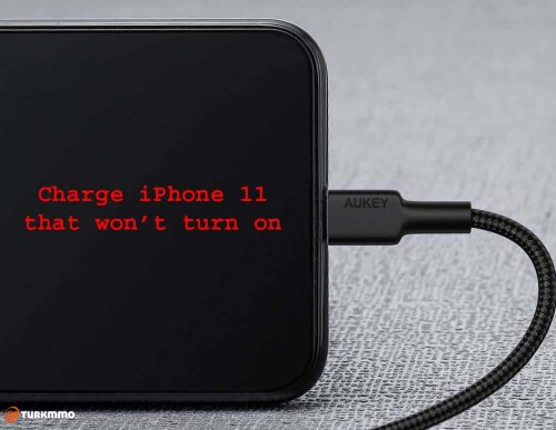charge iphone 11 wont turn on