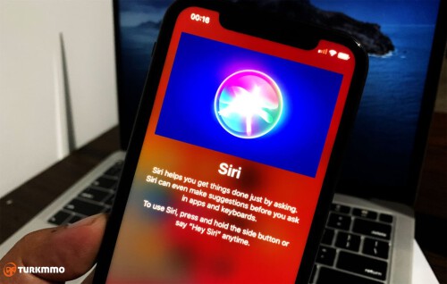 siri not working on iphone 11 1024x651