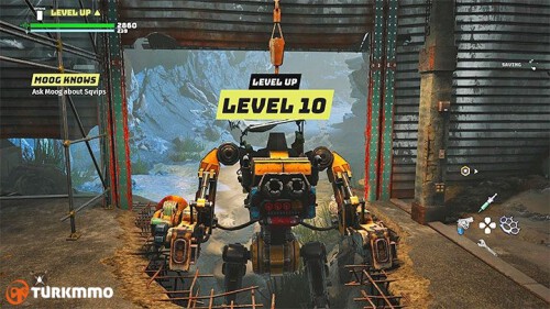 713700218.jpg
