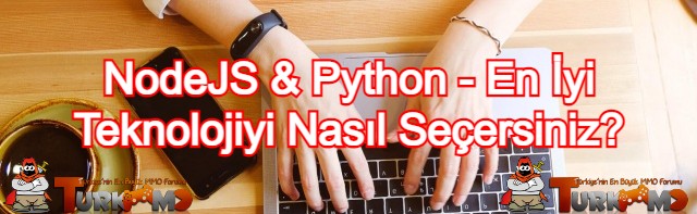web-gelistirici-nedir-web-gelistirici-nasil-olunur-web-gelistirici-ne-is-yapar--16106991681c023706ff6d61fd.jpg