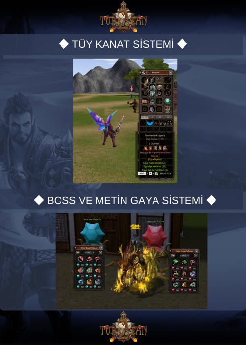 11.png