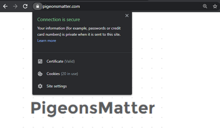 SSL-Integrated-Successfully-on-Website.pngq50fitcropw750dpr1.png