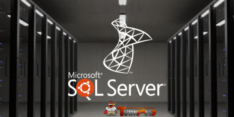 install-sql-server-on-ubuntu.png