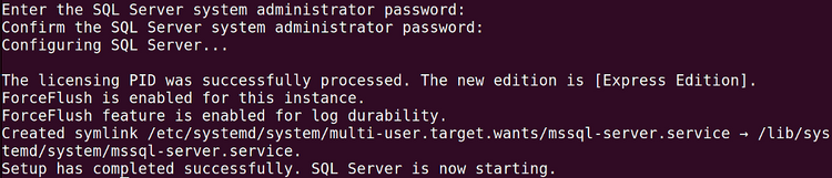 set_sa_password_sql_server.pngq50fitcropw750dpr1.png